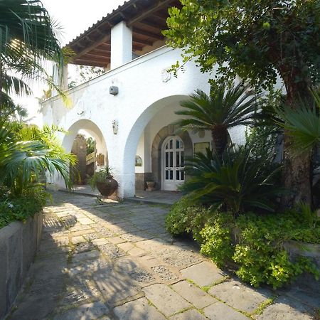 B&B Villa Regine Forio di Ischia Esterno foto