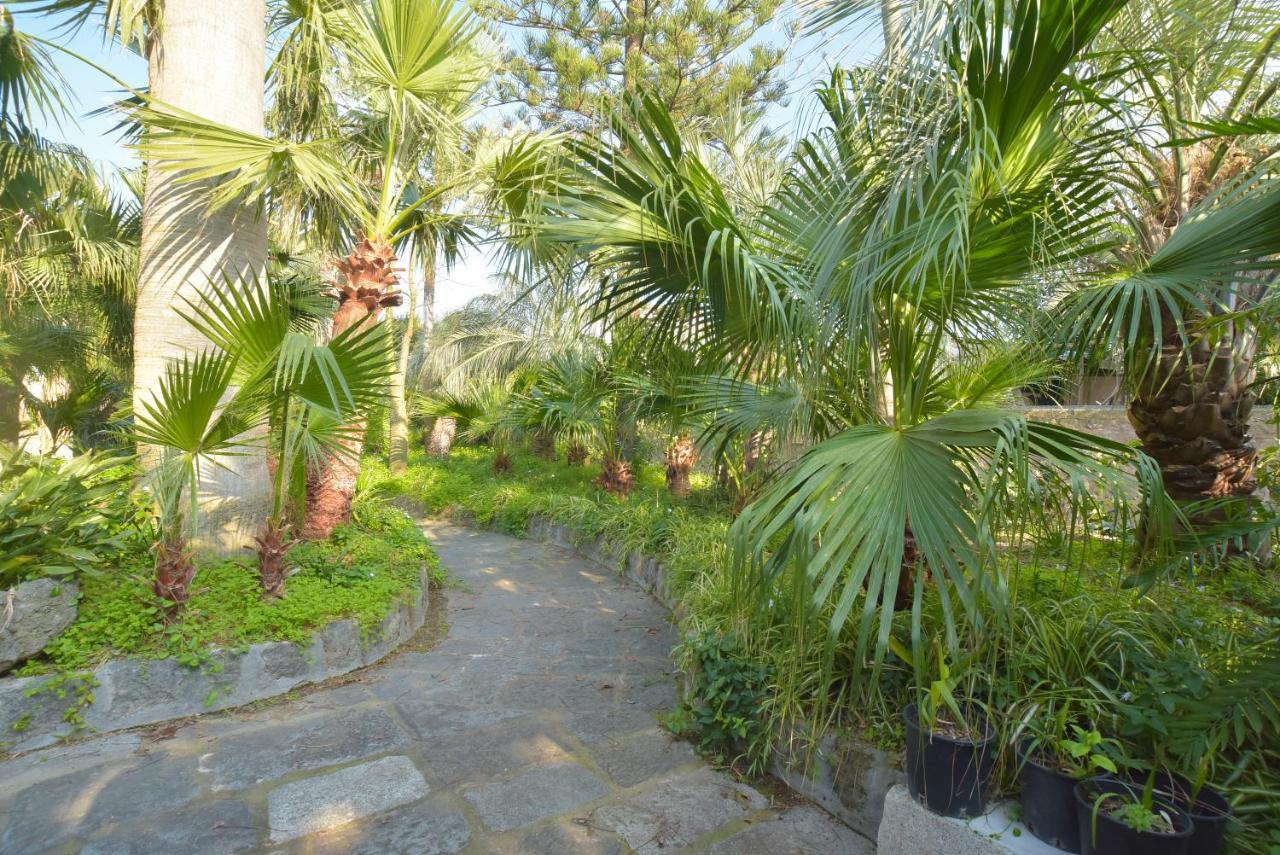 B&B Villa Regine Forio di Ischia Esterno foto